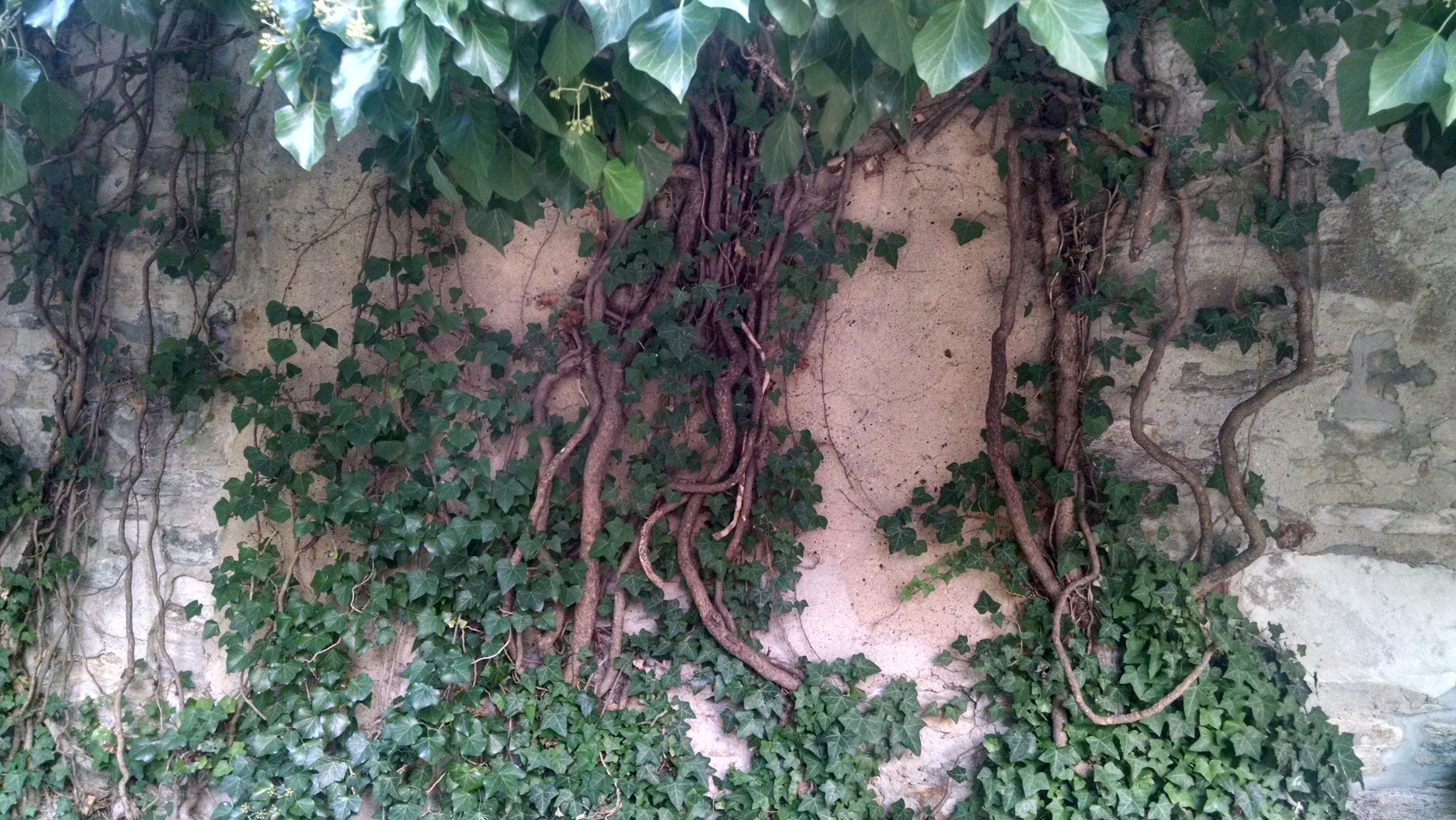 Marble Cemetery – The Most Fashionable Place To Be Buried, circa 1831.