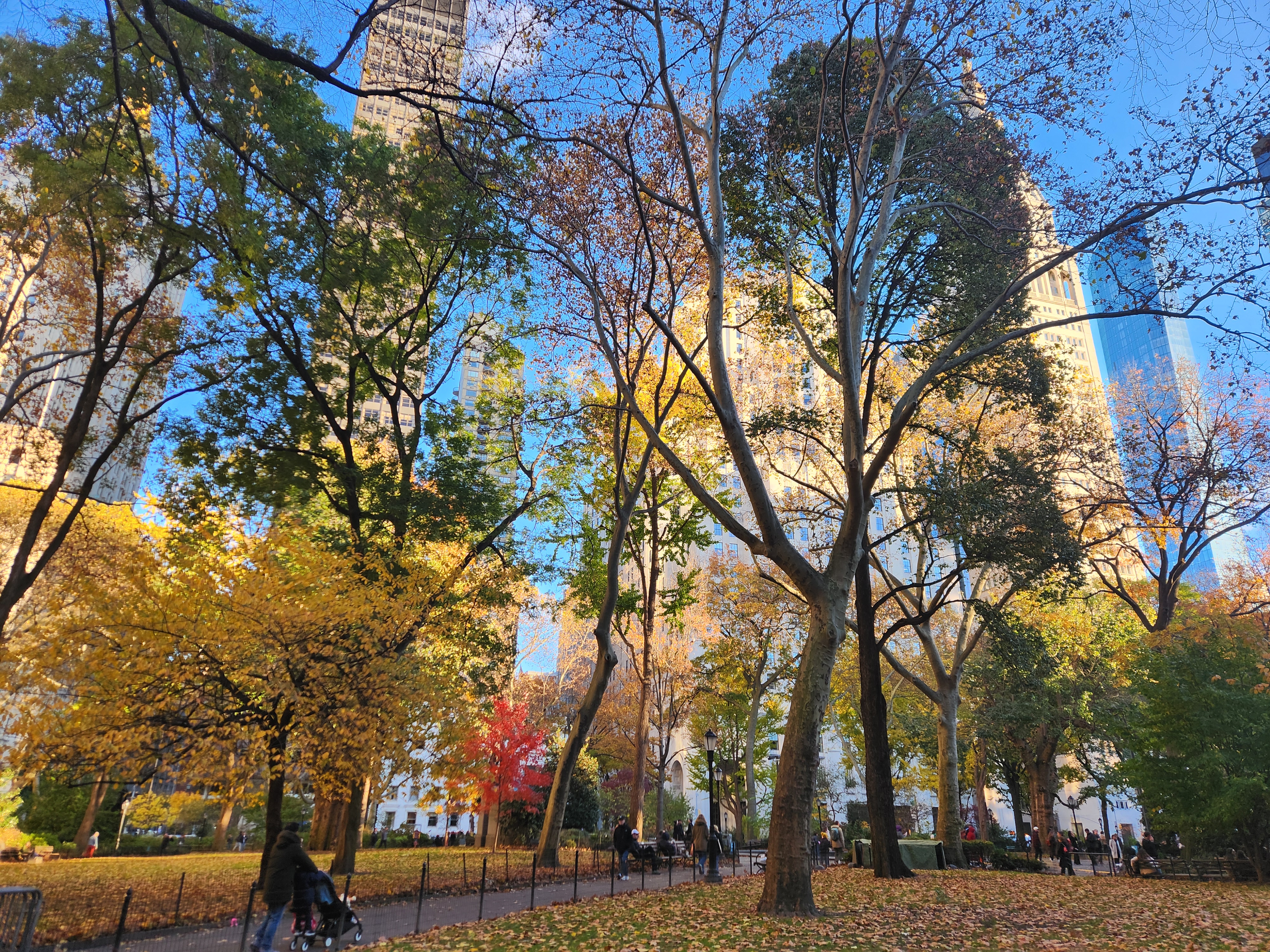 Madison Square Park: Timeline and Landmarks