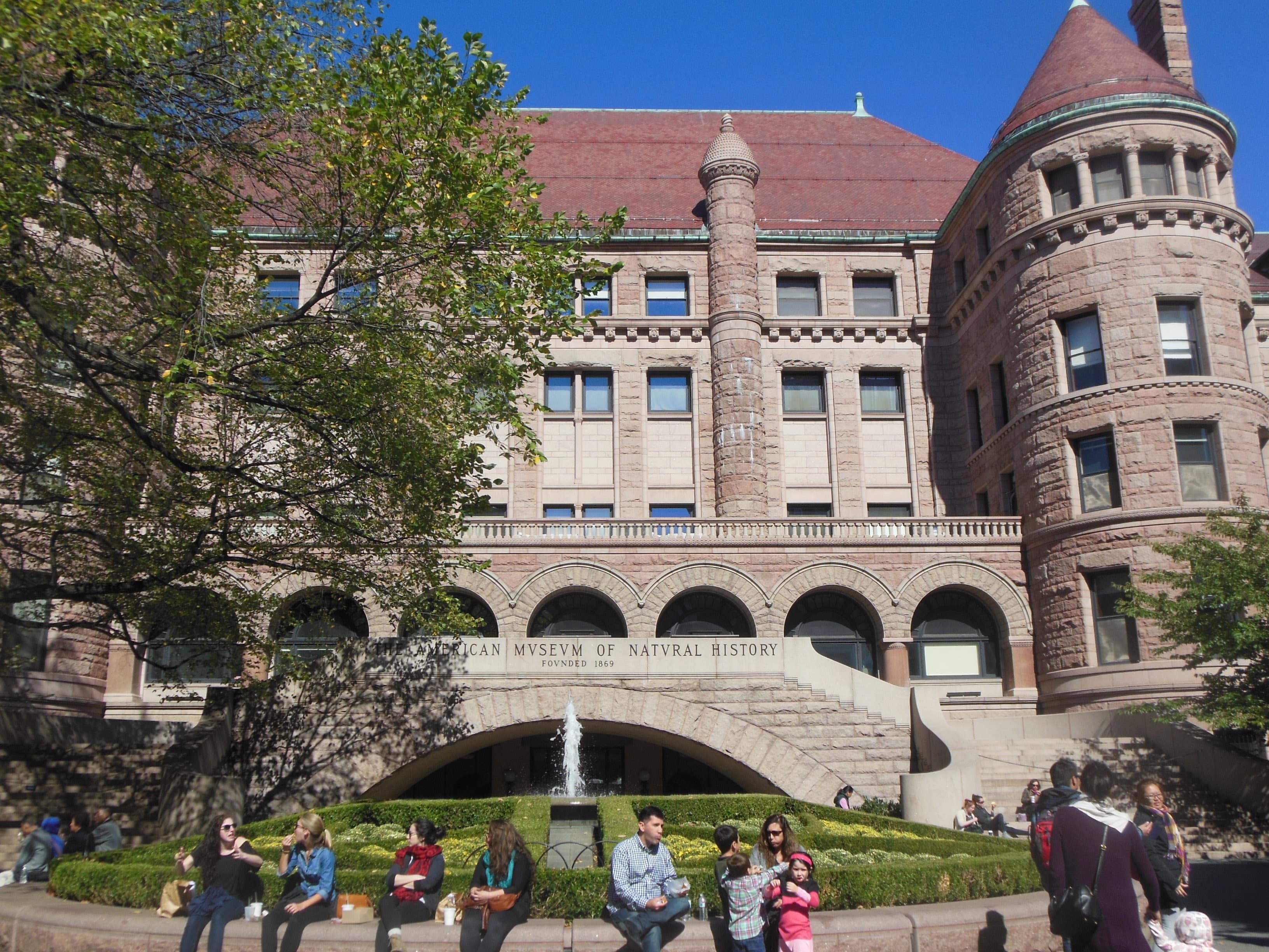 The American Museum of Natural History